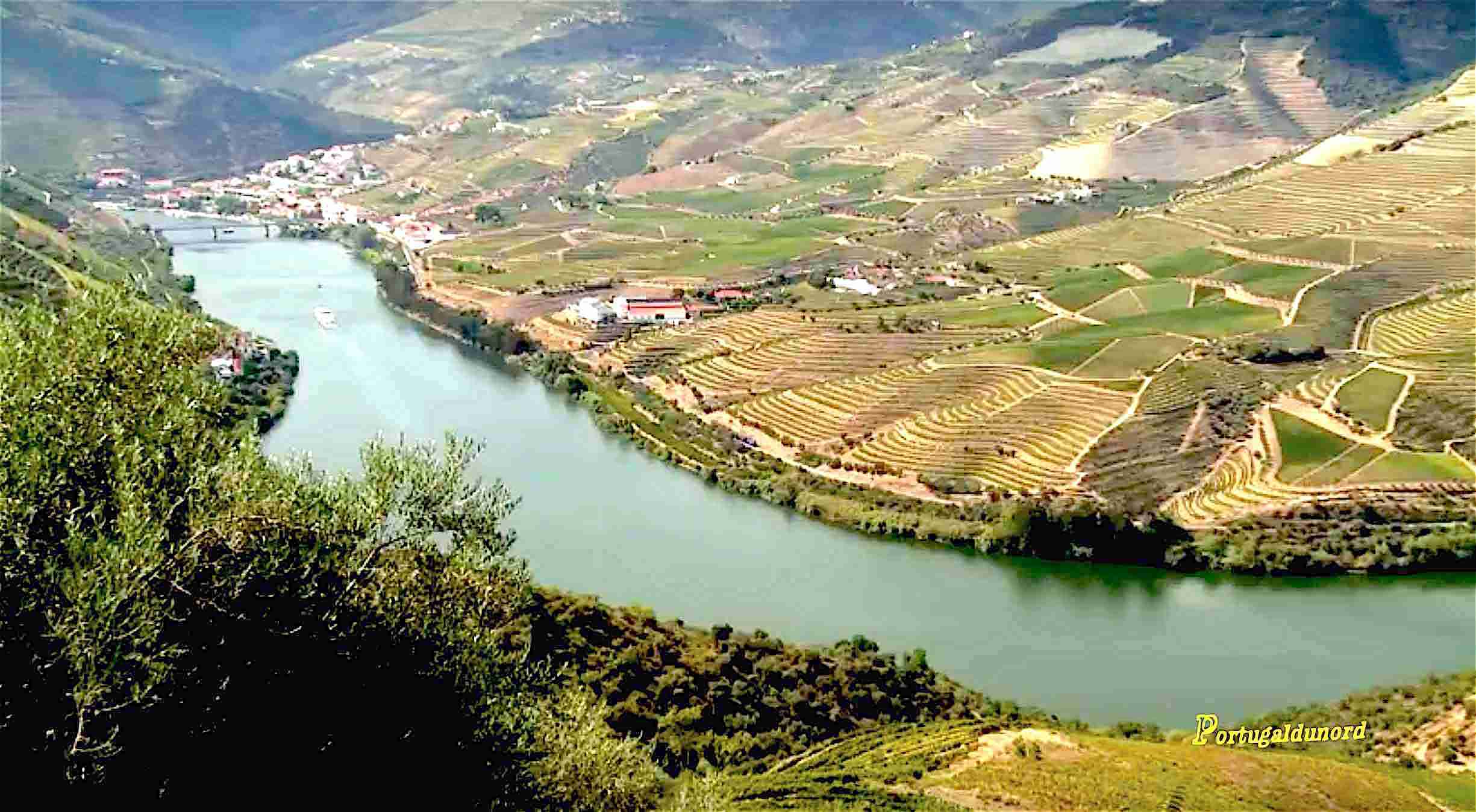Vue sur la vallée du Douro, Portugal