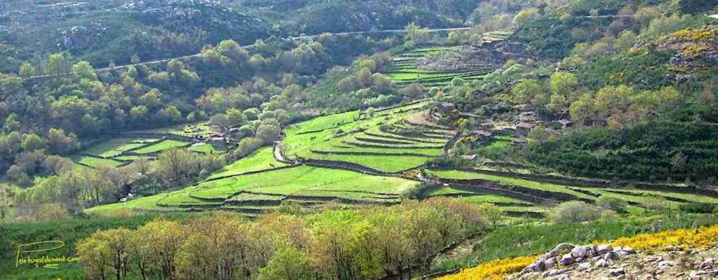 Soajo (à visiter dans le Parc National Peneda Gerês) 8