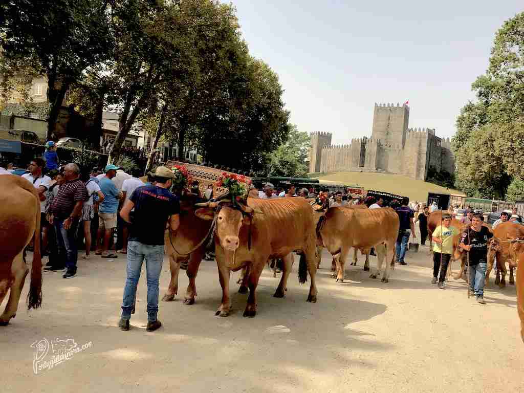Guimarães, Fêtes Gultérianas 5
