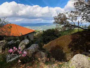 Qu’est-ce qui rend le Nord du Portugal si spéciale?