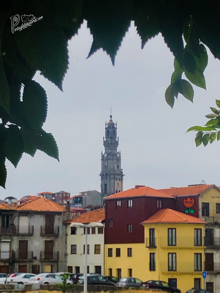 Torre dos Clérigos-Porto