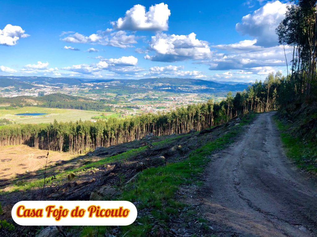 Logement calme entouré de nature dans le Nord du Portugal