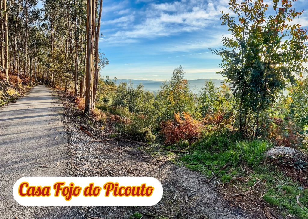 location Vacances Portugal