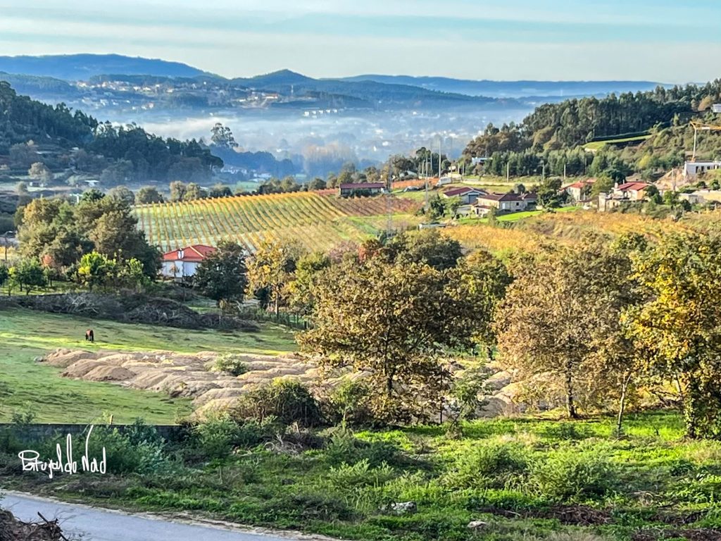 Location vacances Braga